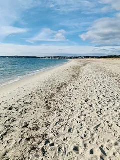 a view of an ocean beach