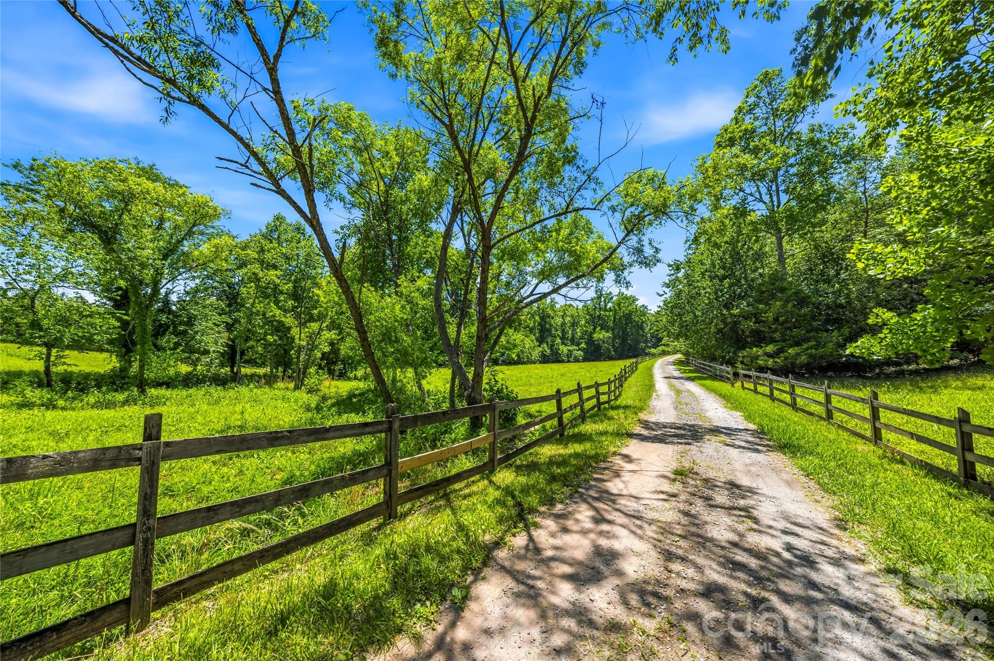 3012 Polk County Line Road Rutherfordton, NC 28139 - Photo 2 of 48