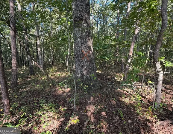 a view of a tree in a yard