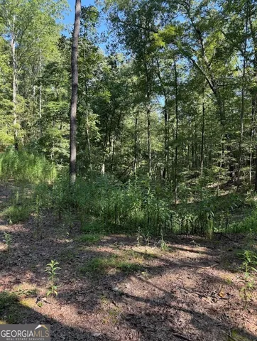 a view of a yard with a tree