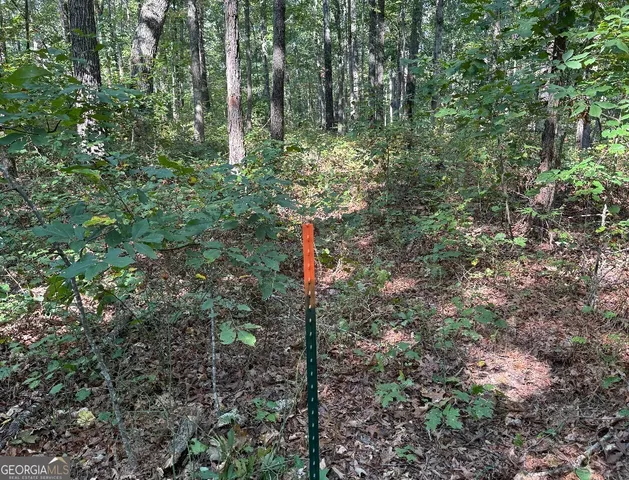 a flag is sitting in the middle of forest