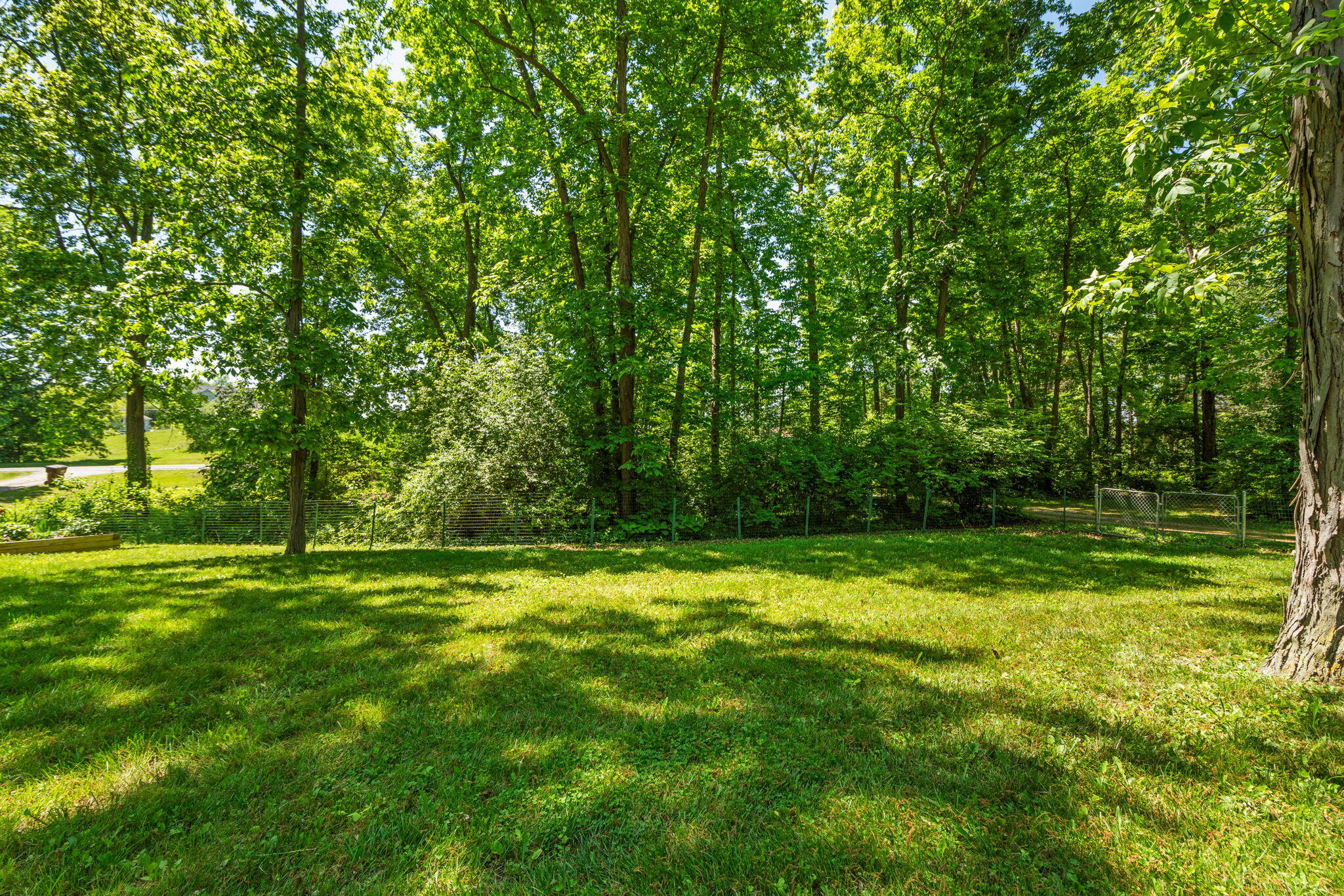 4271 East Willis Road Milan, MI 48160 - Photo 10 of 48 10-web-or-mls-DSC04752