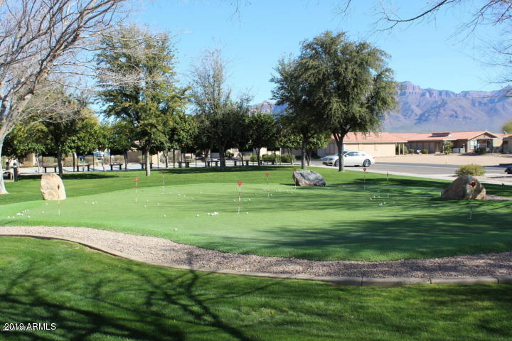 3301 South Goldfield Road, Unit 2041 Apache Junction, AZ 85119 - Photo 26 of 26 a view of a park with large trees and a lots of trees