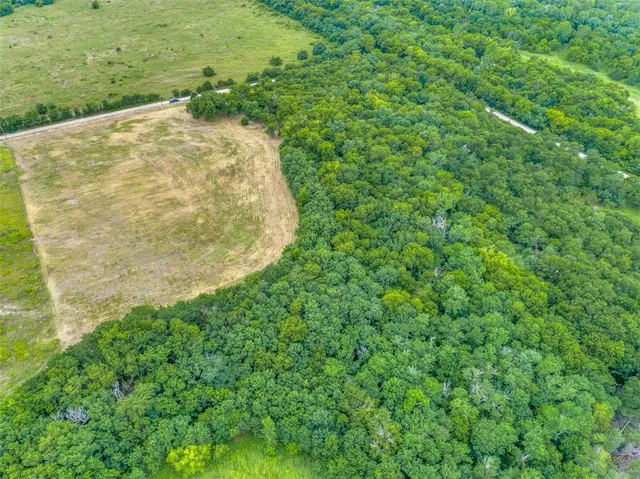 a view of a water pond with green field