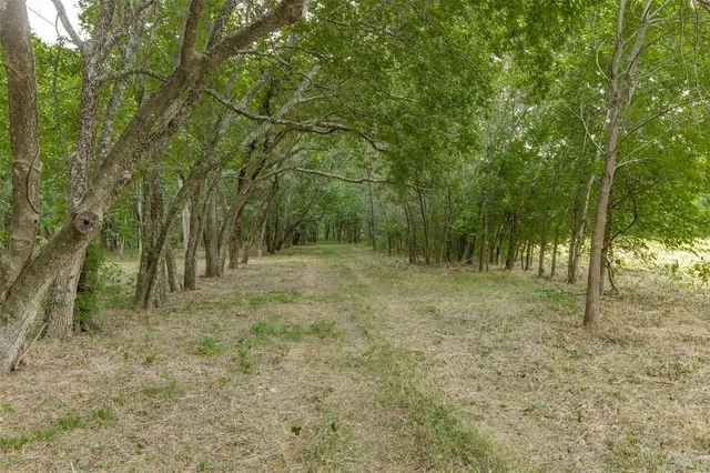 a view of outdoor space and trees