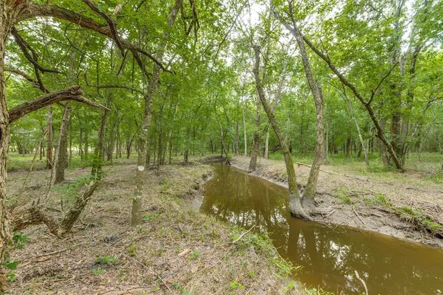 a view of outdoor space with trees