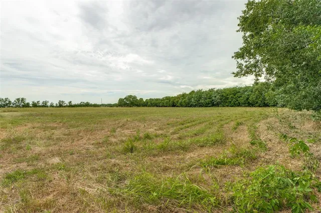 a view of a swimming pool with a yard and plants