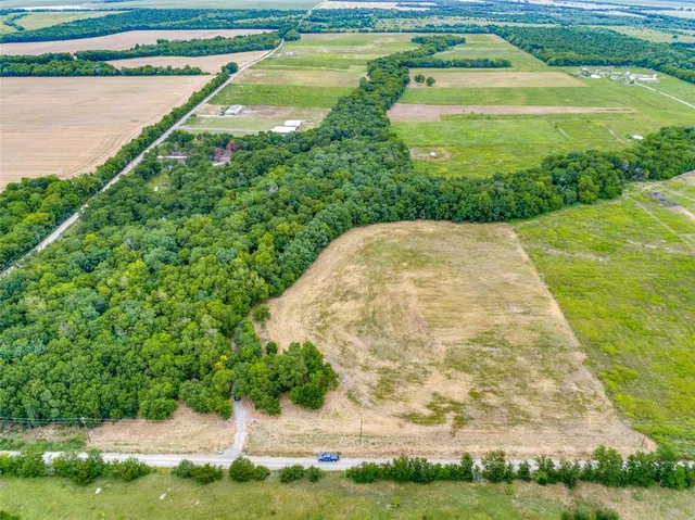 a view of a garden with a yard