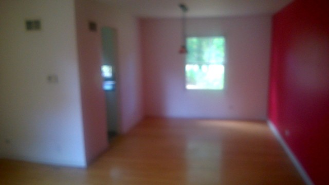 4958 Oak Lane Gurnee, IL 60031 - Photo 5 of 10