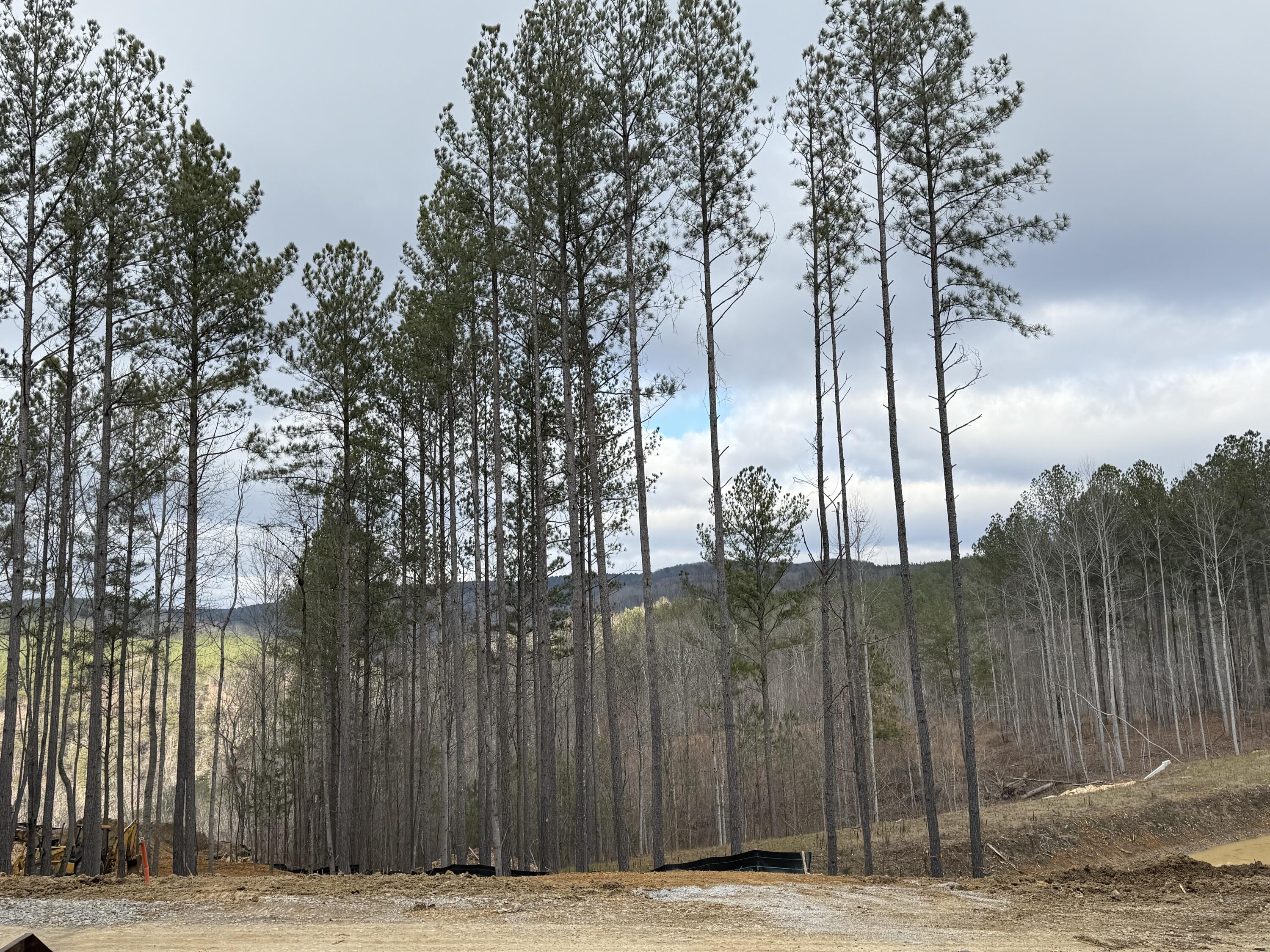 0 Birds Eye Way, Unit 1107 Guild, TN 37340 - Photo 11 of 25 11