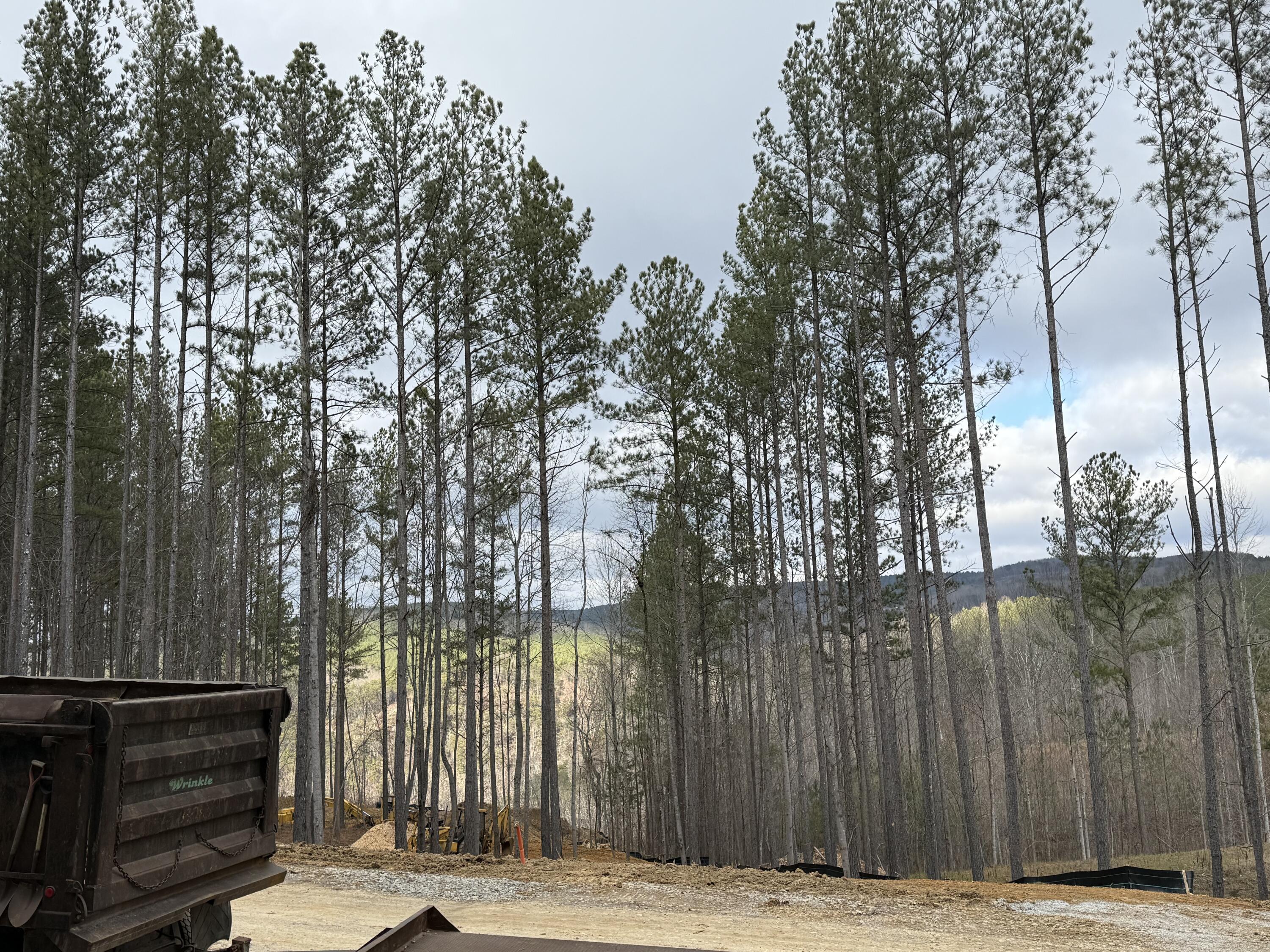 0 Birds Eye Way, Unit 1107 Guild, TN 37340 - Photo 12 of 25 12