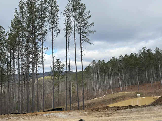 $159,900 | 0 Birds Eye Way, Unit 1107, Guild, TN 37340