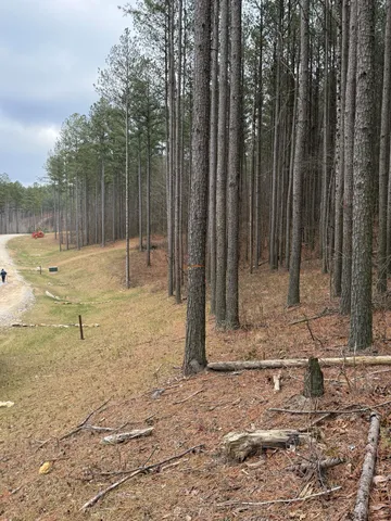 $159,900 | 0 Birds Eye Way, Unit 1107, Guild, TN 37340