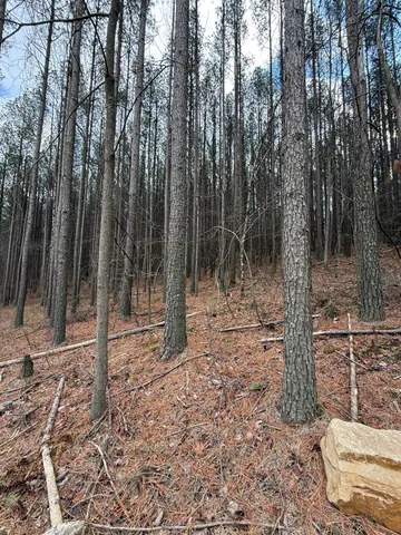 $159,900 | 0 Birds Eye Way, Unit 1107, Guild, TN 37340