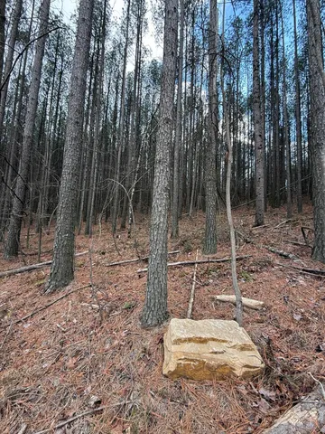 $159,900 | 0 Birds Eye Way, Unit 1107, Guild, TN 37340