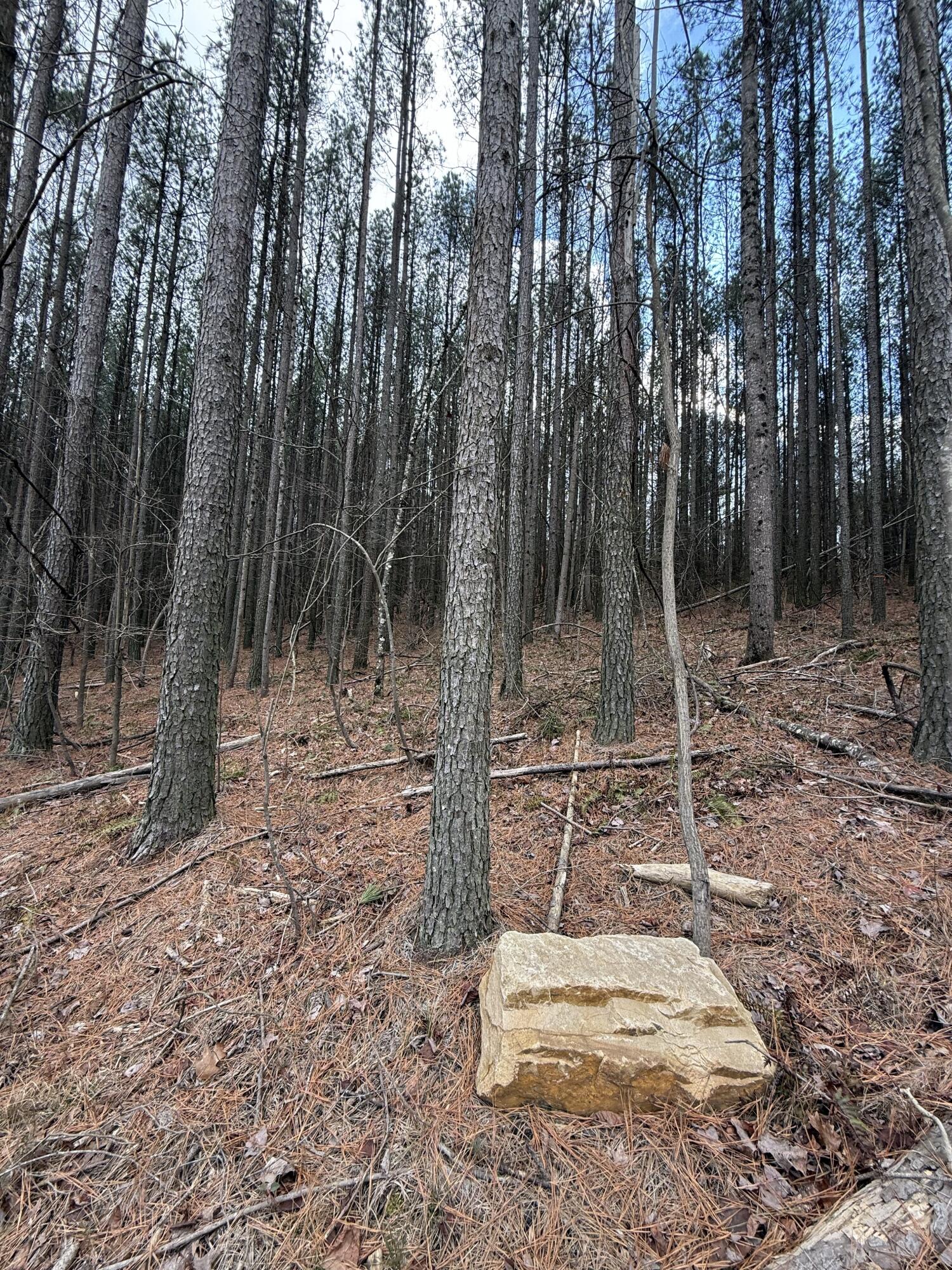 0 Birds Eye Way, Unit 1107 Guild, TN 37340 - Photo 16 of 25 16