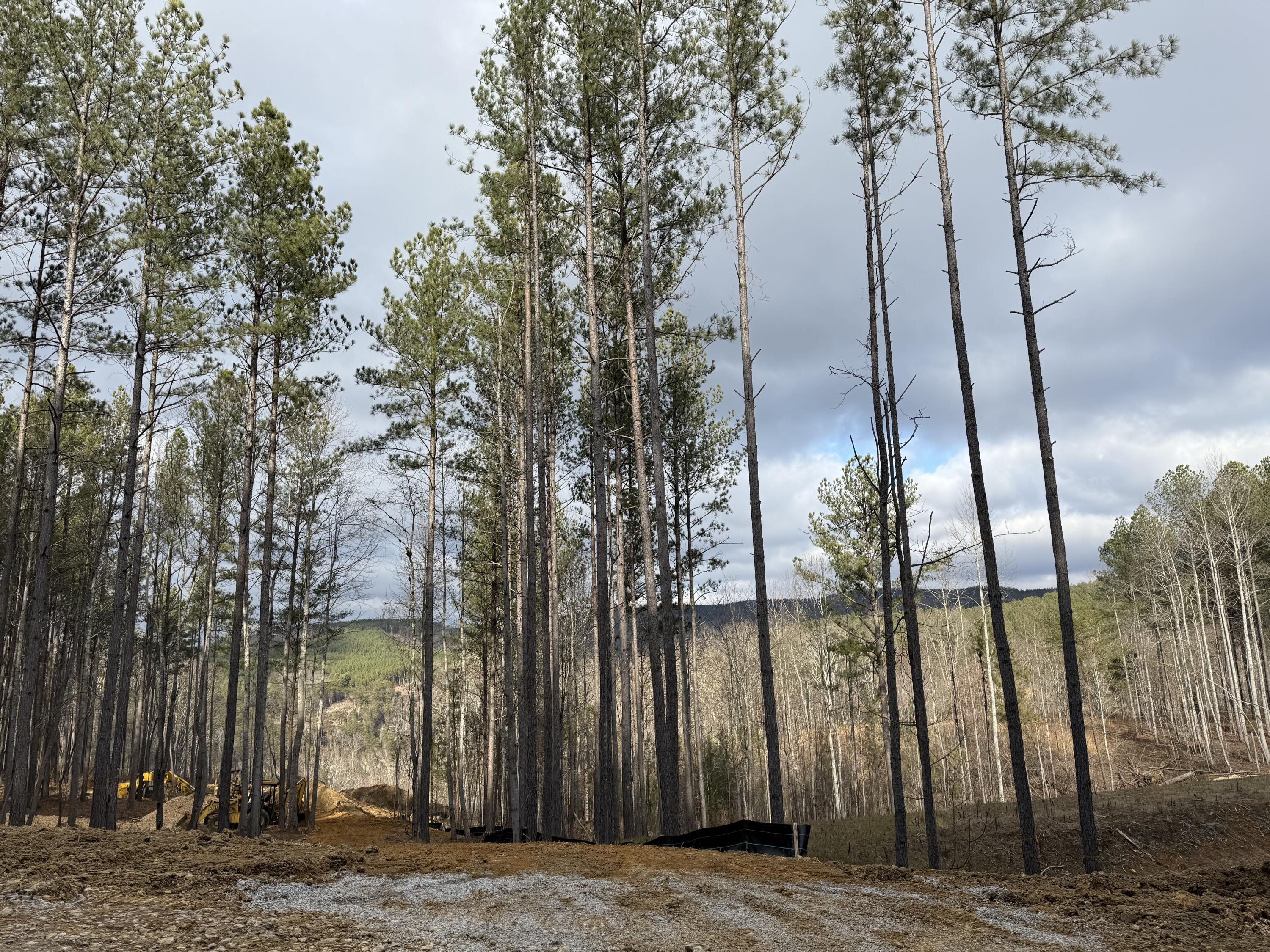 0 Birds Eye Way, Unit 1107 Guild, TN 37340 - Photo 17 of 25 17