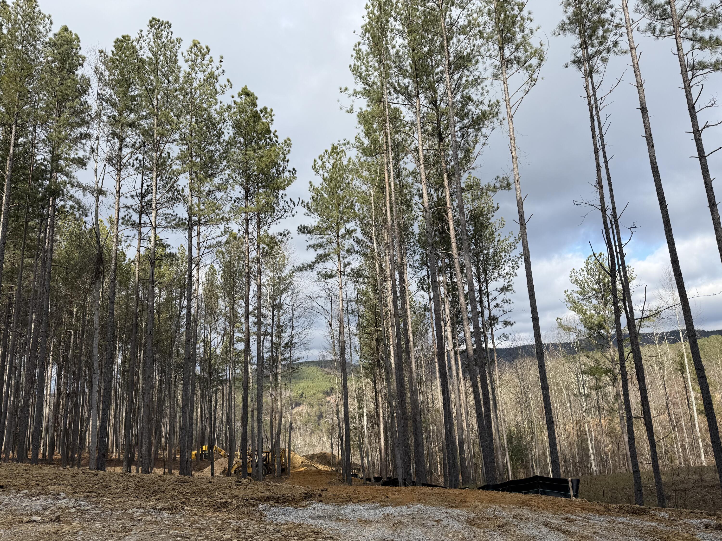 0 Birds Eye Way, Unit 1107 Guild, TN 37340 - Photo 18 of 25 18