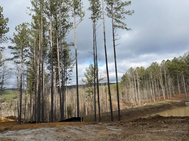 $159,900 | 0 Birds Eye Way, Unit 1107, Guild, TN 37340