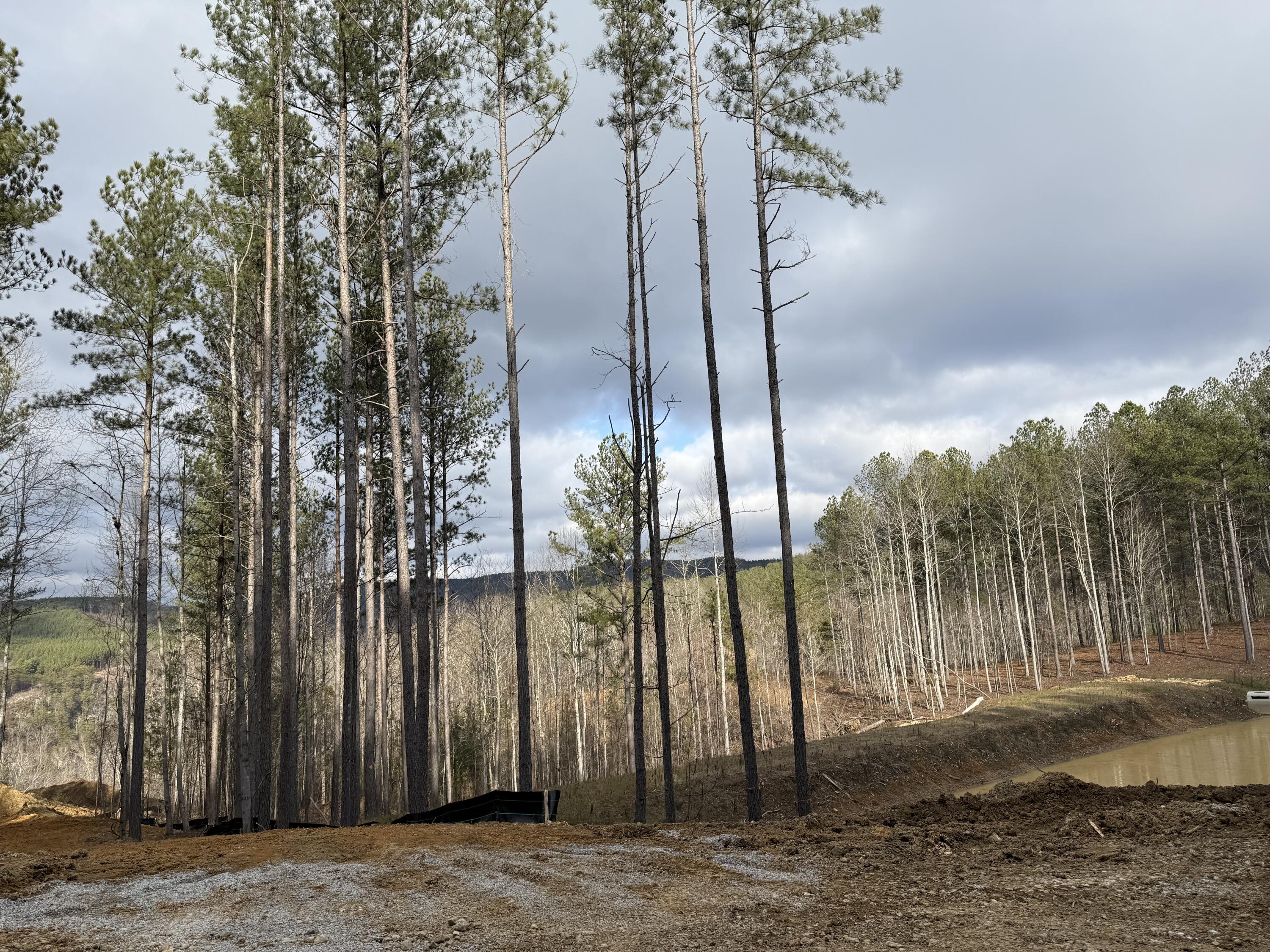 0 Birds Eye Way, Unit 1107 Guild, TN 37340 - Photo 19 of 25 19