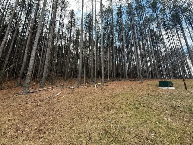 $159,900 | 0 Birds Eye Way, Unit 1107, Guild, TN 37340