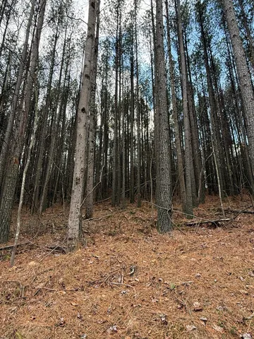 $159,900 | 0 Birds Eye Way, Unit 1107, Guild, TN 37340