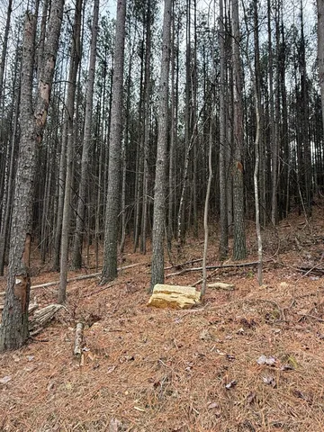 $159,900 | 0 Birds Eye Way, Unit 1107, Guild, TN 37340