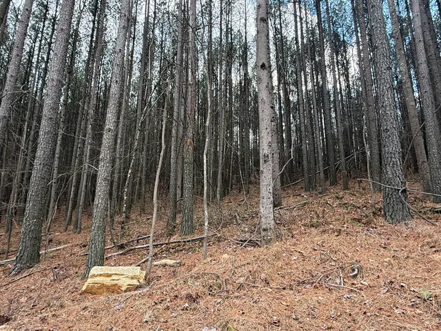 $159,900 | 0 Birds Eye Way, Unit 1107, Guild, TN 37340