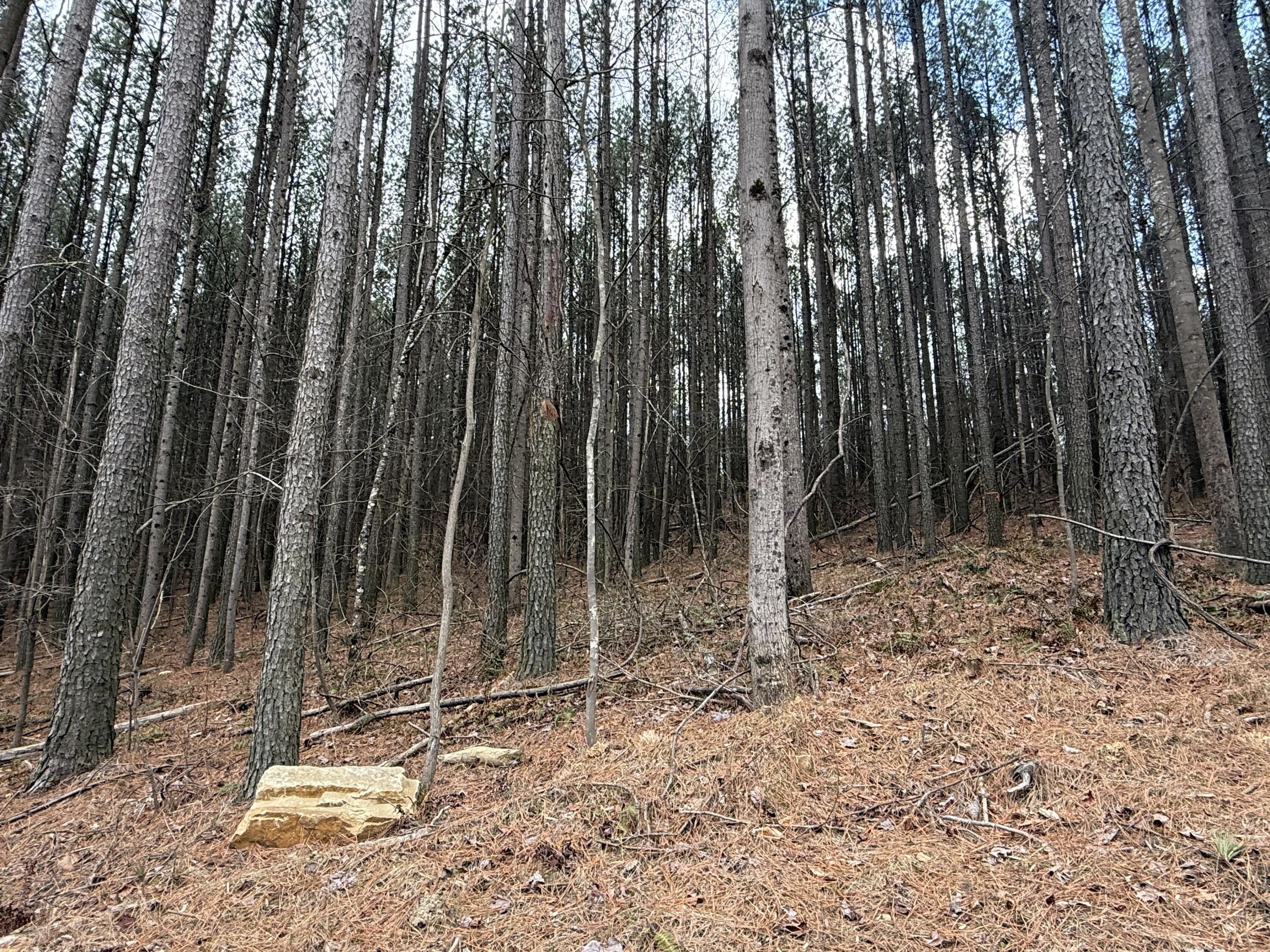 0 Birds Eye Way, Unit 1107 Guild, TN 37340 - Photo 7 of 25 7