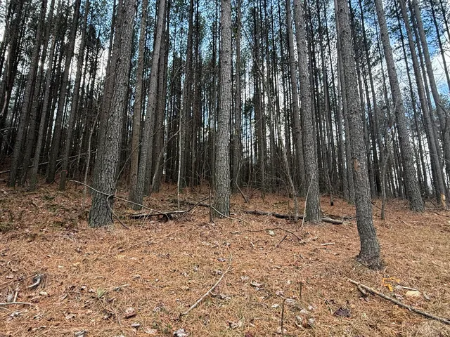 $159,900 | 0 Birds Eye Way, Unit 1107, Guild, TN 37340