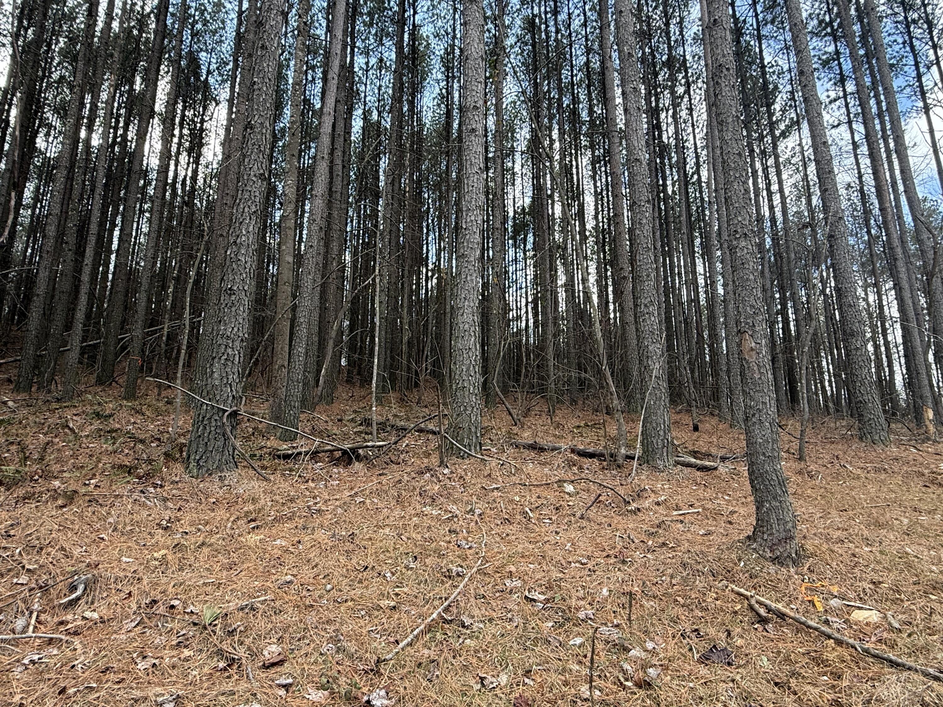 0 Birds Eye Way, Unit 1107 Guild, TN 37340 - Photo 8 of 25 8