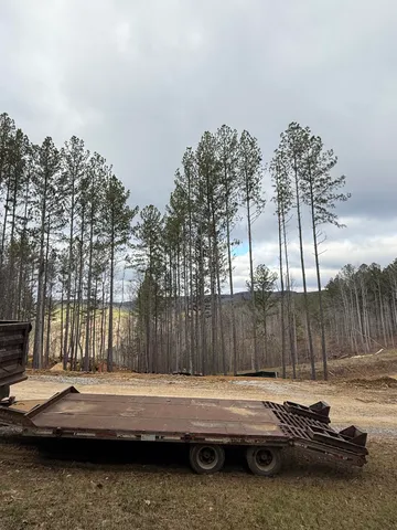 $159,900 | 0 Birds Eye Way, Unit 1107, Guild, TN 37340