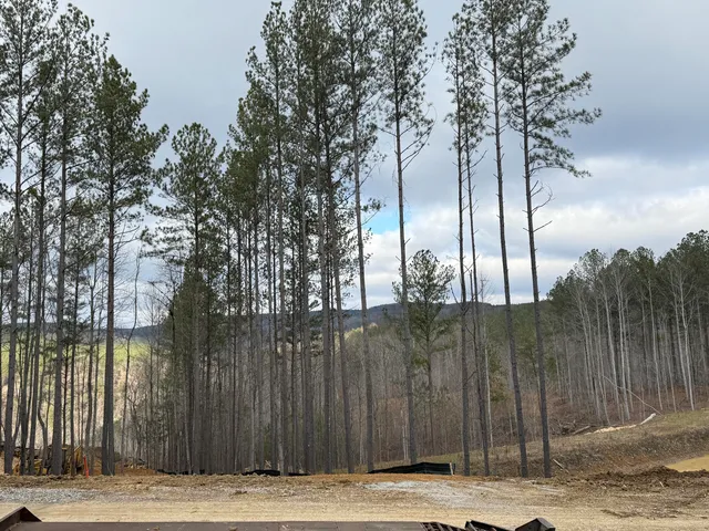 $159,900 | 0 Birds Eye Way, Unit 1107, Guild, TN 37340