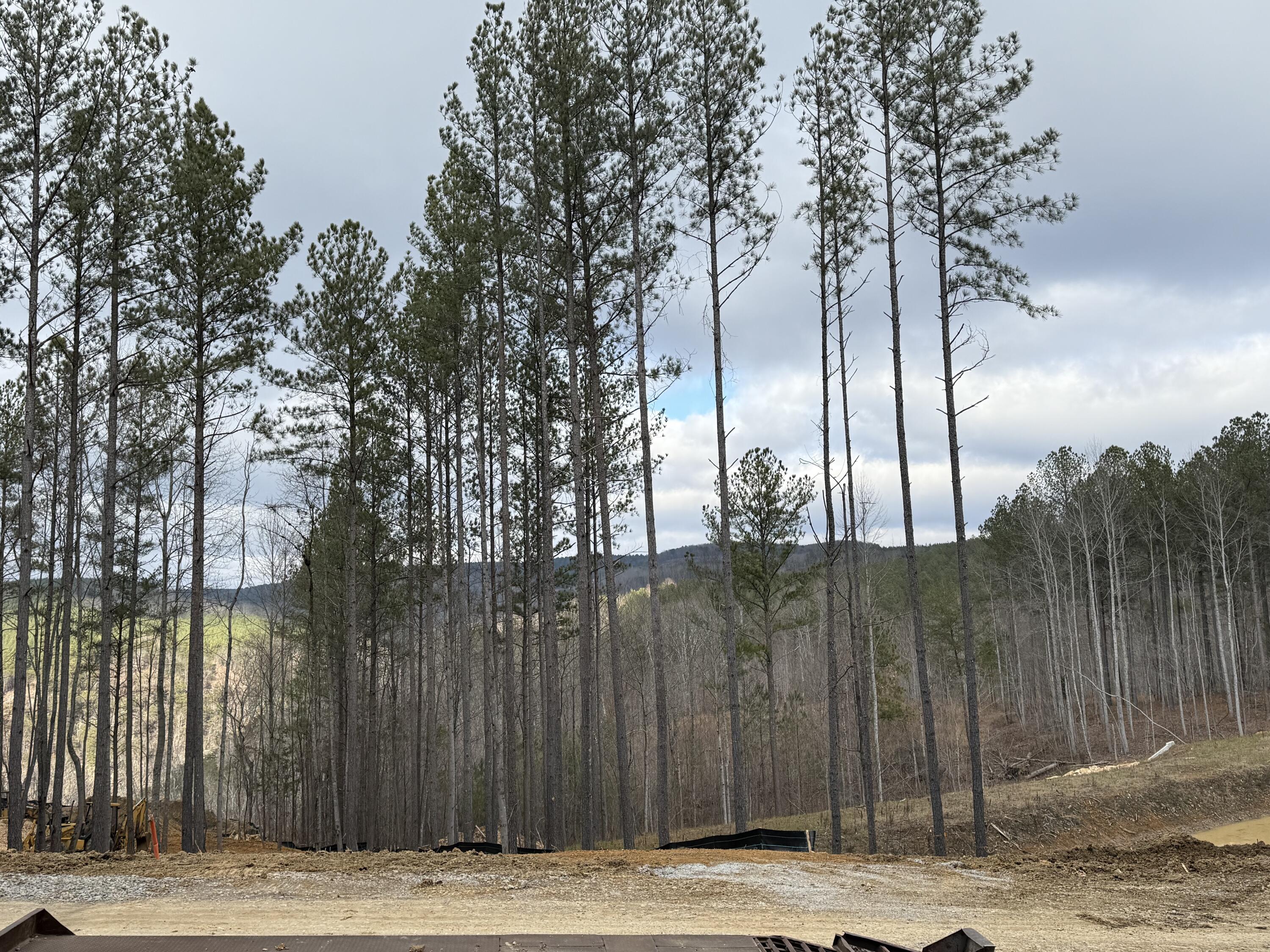 0 Birds Eye Way, Unit 1107 Guild, TN 37340 - Photo 10 of 25 10