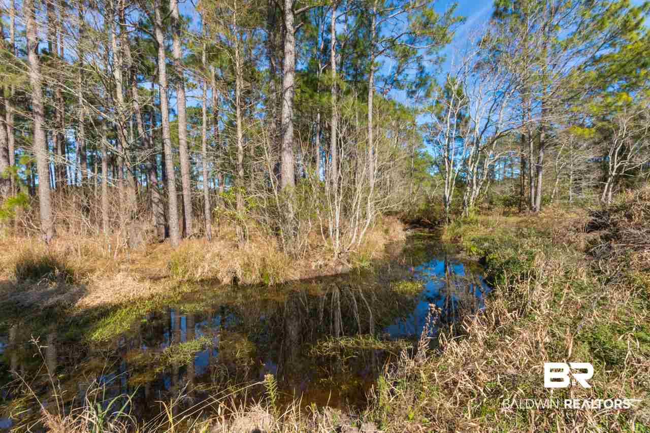 21801 County Road 28 Foley, AL 36535 - Photo 22 of 41