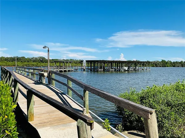 a view of lake and city