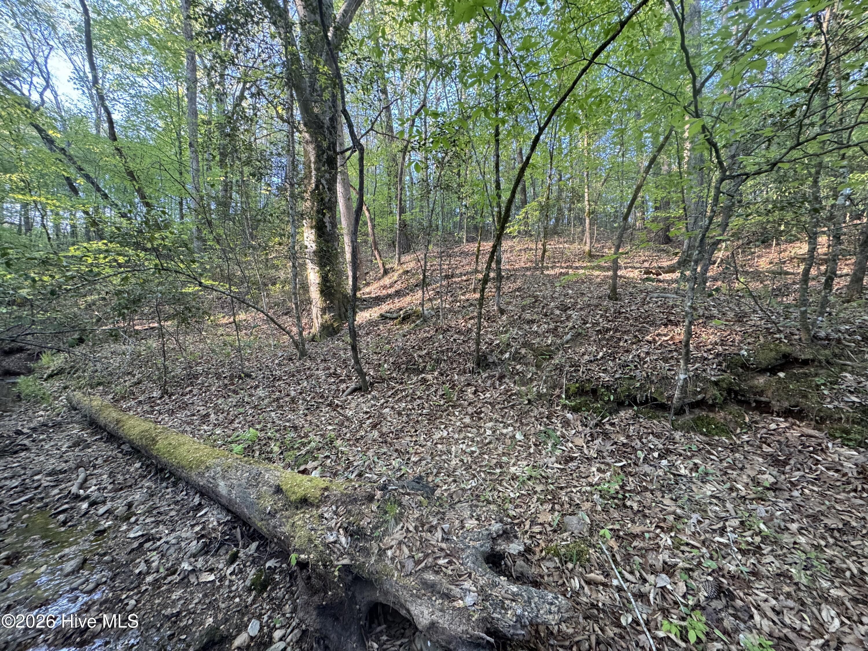 0 Cartledge Creek Road Rockingham, NC 28379 - Photo 15 of 32 Cartledge Creek
