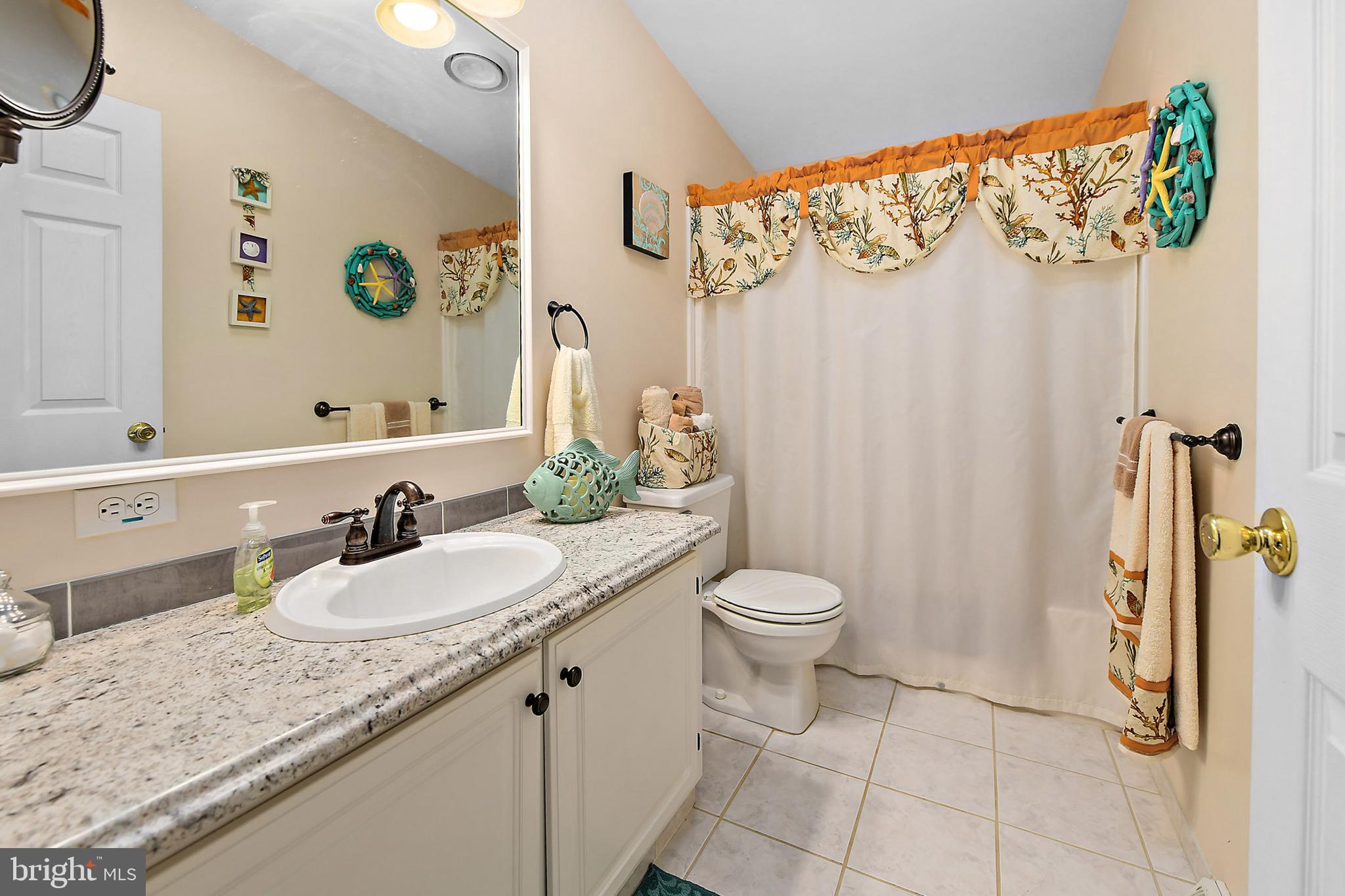 2624 Bird Hill Road Girdletree, MD 21829 - Photo 18 of 41 Large vanity with ample counter space