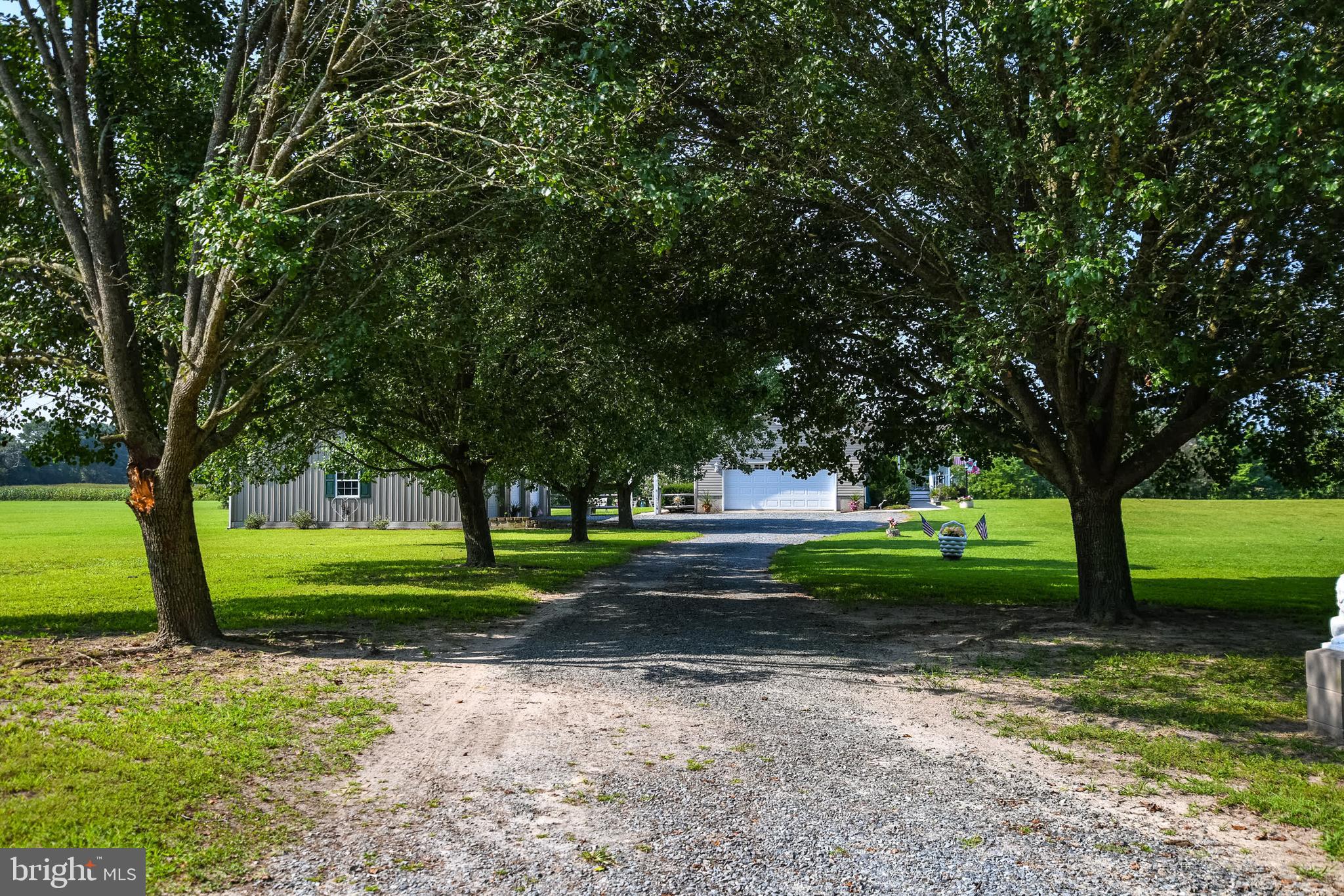 2624 Bird Hill Road Girdletree, MD 21829 - Photo 23 of 41 Tree lined lane