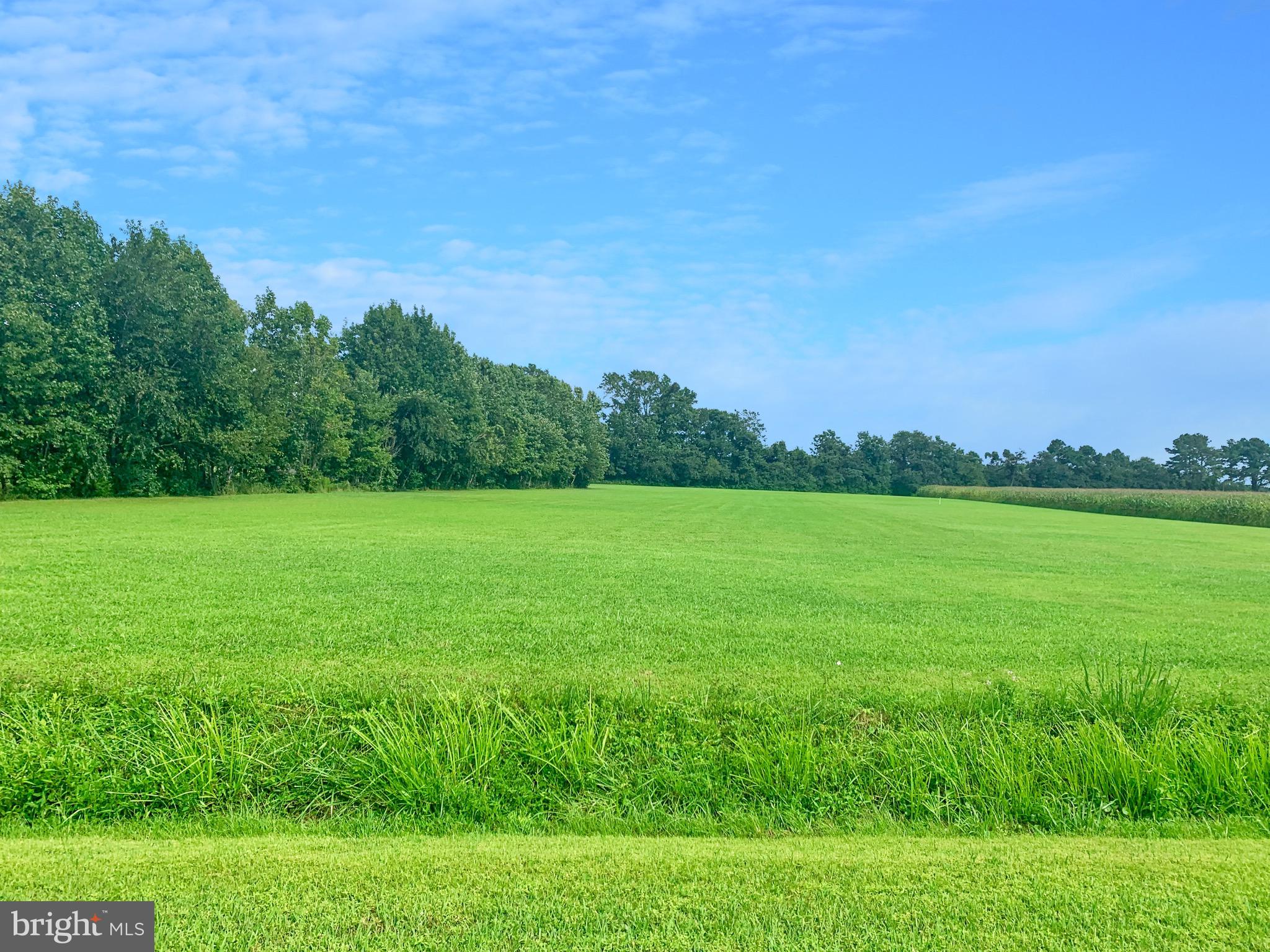 2624 Bird Hill Road Girdletree, MD 21829 - Photo 36 of 41 3.5 acre parcel that is separated by trees