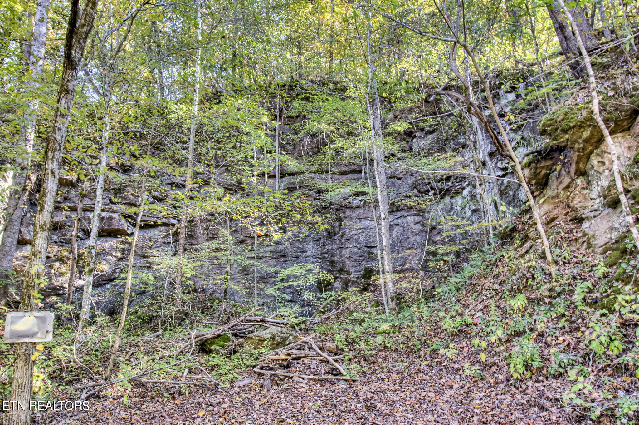 500 Old Citico Road Vonore, TN 37885 - Photo 52 of 53 Gallery Image 52
