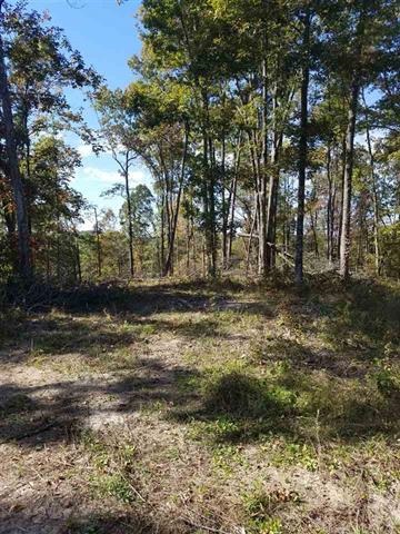 55 Acres /- Tree Farm Road Solsberry, IN 47459 - Photo 14 of 35