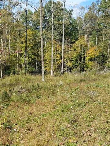 55 Acres /- Tree Farm Road Solsberry, IN 47459 - Photo 22 of 35