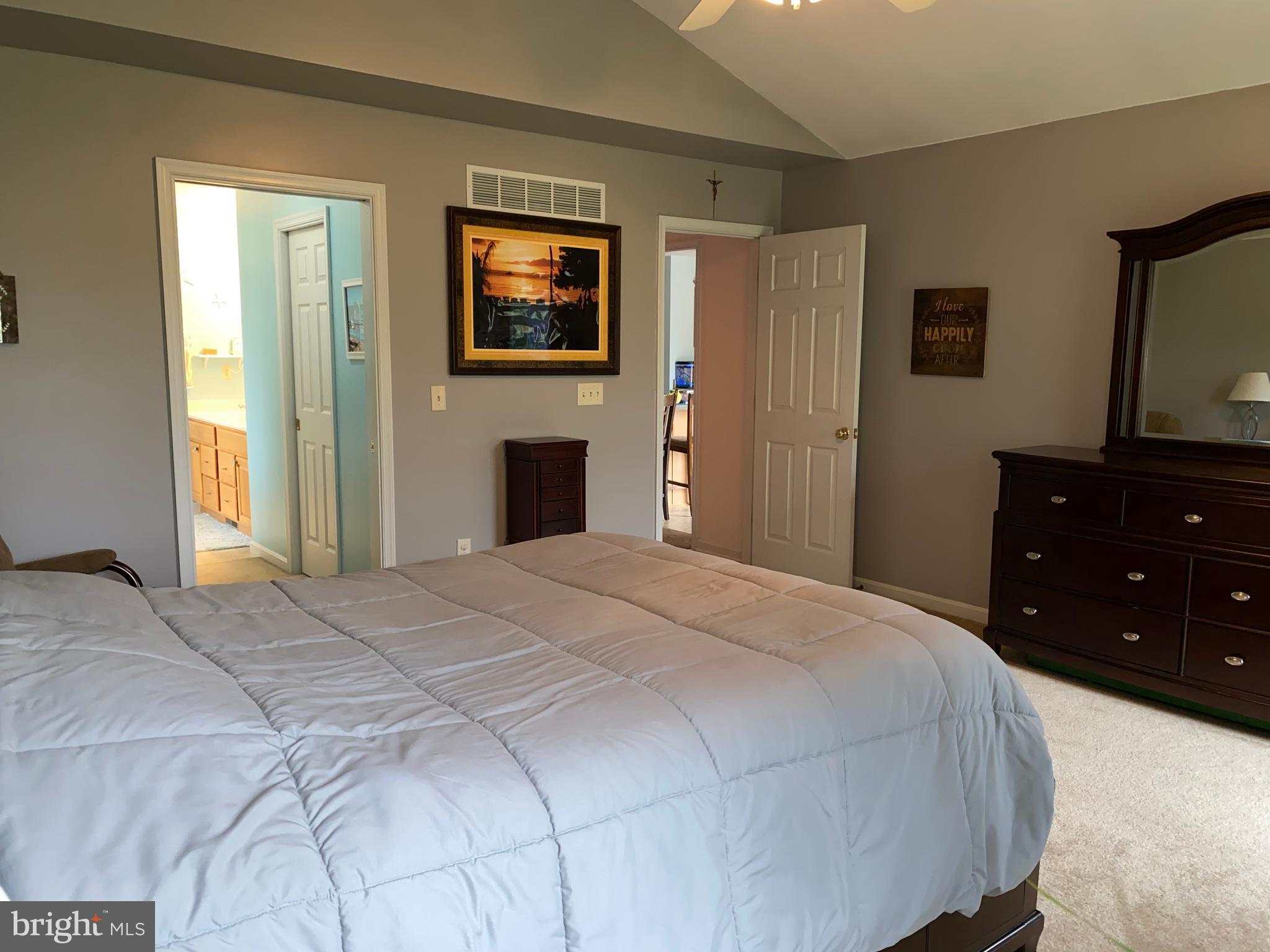 283 Quaker Hill Road Magnolia, DE 19962 - Photo 16 of 24 Master Bedroom with vaulted ceiling