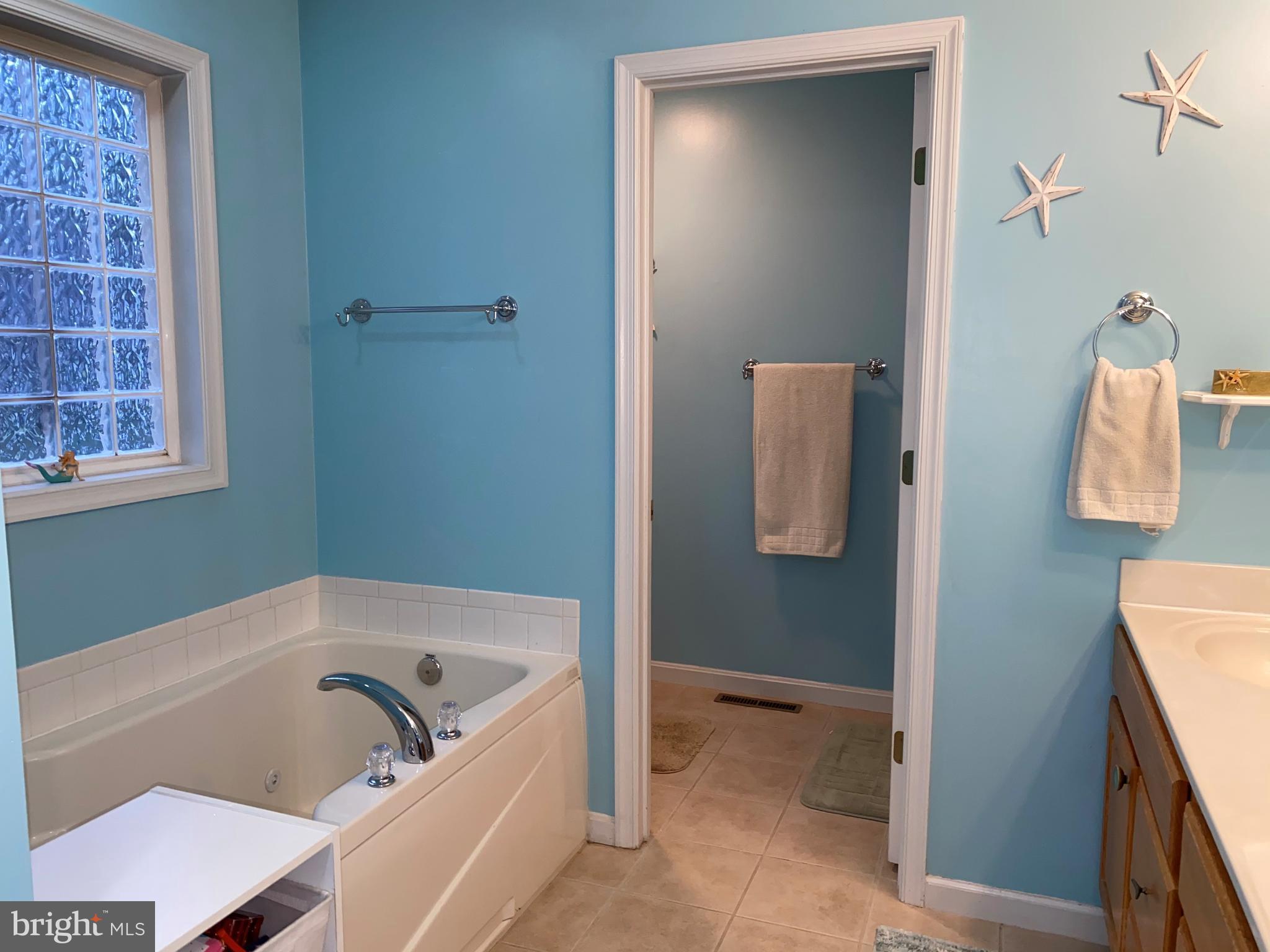 283 Quaker Hill Road Magnolia, DE 19962 - Photo 17 of 24 Master bath with soaking tub