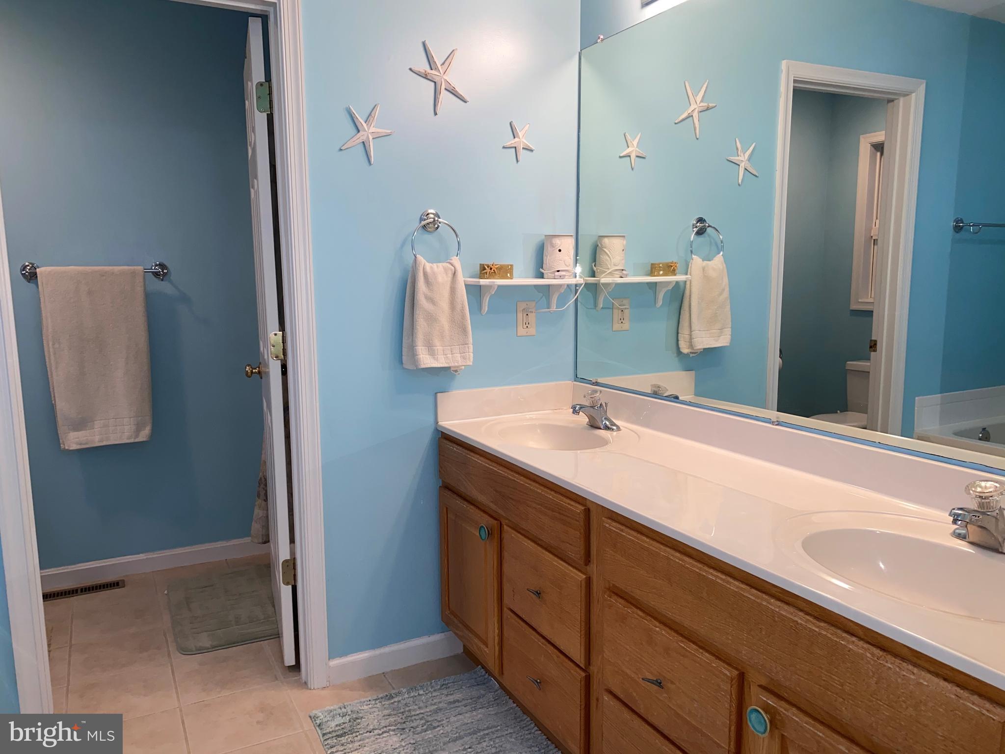 283 Quaker Hill Road Magnolia, DE 19962 - Photo 8 of 24 Master bath with double sinks