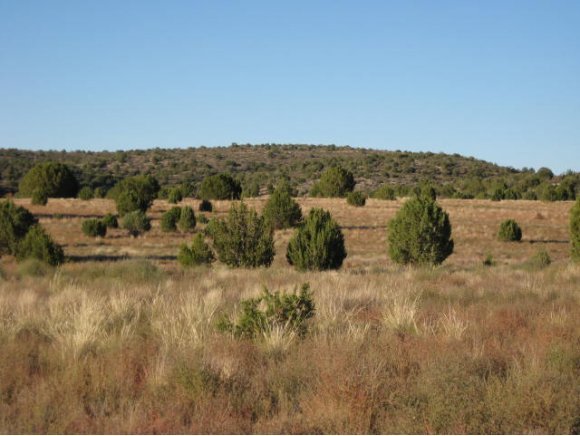 4 Cougar Ridge Road Paulden, AZ 86334 - Photo 3 of 11 Additional Photo