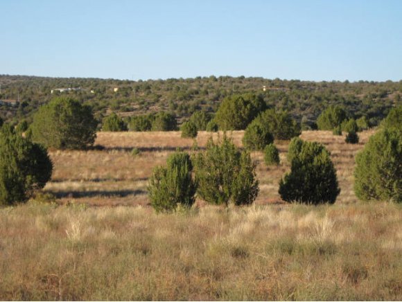 4 Cougar Ridge Road Paulden, AZ 86334 - Photo 4 of 11 Additional Photo
