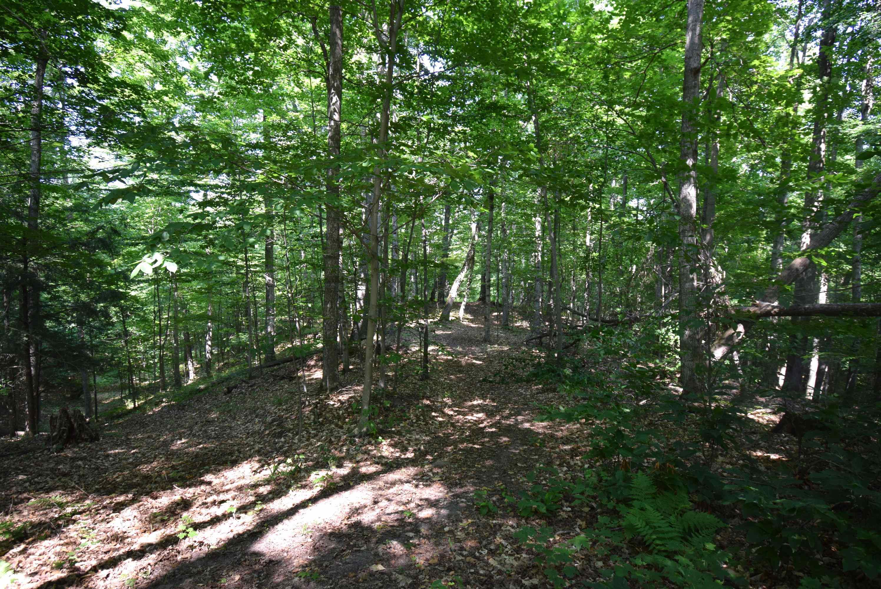 6019 Pincherry Road Charlevoix, MI 49720 - Photo 64 of 70 1920393-165FB674-B053-4C9D-BAC8-9E37FE48AE5B.JPG
