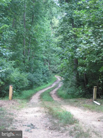 a view of a yard with a trees